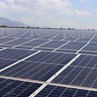 MAI TIẾN PHÁT CẤP CÁP ĐIỆN NLMT CADIVI TẠI NHÀ MÁY ĐIỆN MẶT TRỜI SOLAR FARM NHƠN HẢI