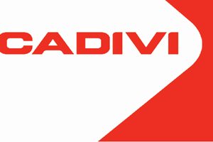 CÔNG TY CADIVI TỔ CHỨC THÀNH CÔNG HỘI NGHỊ KHÁCH HÀNG TỈNH NINH BÌNH THÁNG 09 NĂM 2019