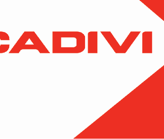 Bảng giá Cadivi