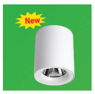 Surface Downlight